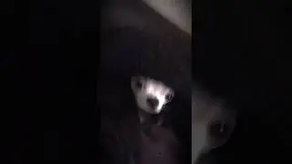 Лилишка в вселенной слово пацана 😅