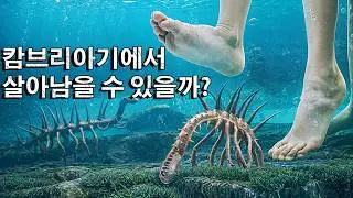 현대인이 캄브리아기에서 살아남을 수 있을까？