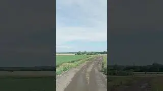 лето,