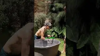 Mi primera chamba