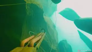 TEMPORADA DE ÁGUA CRISTALINA PESCASUB 2021 #PESCASUB2021