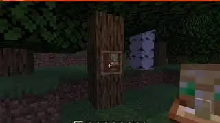 Totems 3D 1.15.2 & 1.16.1 Resource Pack Overview