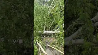 везение да и только 😁