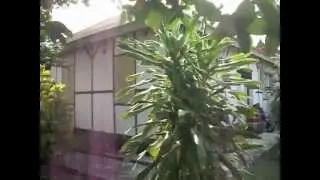 Situs Rumah BungKarno-Ende-Flores