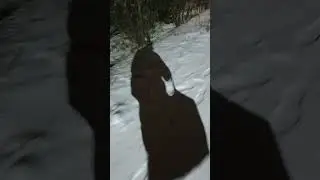 Sheksna Шексна