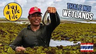 Swamp Fishing in Southern Thailand  - Thale Noi, Phatthalung