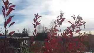Писали с ветром мы вдвоём... Владимир Моряк Алёнушке Елене МОРОЗОВОЙ 27