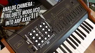 Analog Chimera : ½ ARP + ½ Moog (MachineRoom Trilobite)