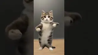 para imut liat kaka joget 