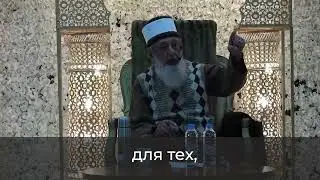 Шейх Имран Хосейн:  Мальхама будет великой войной