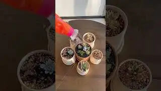 Make your life easier with Puff hacks 🙃 