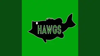 Hawgs