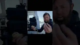 Forrest Galante performs a quick procedure to remove a hook from a little shark. 🦈 