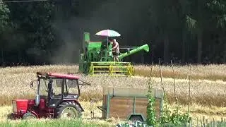 Żniwa 2020 ㋡ Pszenica i pszenżyto 6,5 t/ha ㋡ Testy sieczkarni w John Deere 330