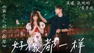 虞书欣/张彬彬- 好像都一样 《两个人的小森林》（电视剧片尾曲)  🎵【动态歌词Lyrics video】#超好听 #music #lyrics #pinyin
