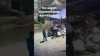 Тарбия деп түшүнөбүзбү