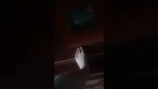 Мой максимальный вес