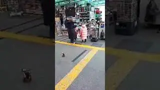 Мошин бозор карея