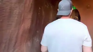 Disneyland Splash Mountain Evacuation 4/15/23
