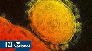 What is Mers-CoV?