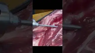 i SEGRETI del pulled pork