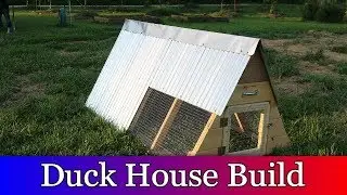 Building a Duck House and moving the ducks out to the pond.