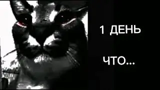 Сколько шлепе  осталось жить лет: