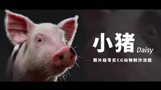 照片级写实CG动物《小猪Daisy》制作全流程