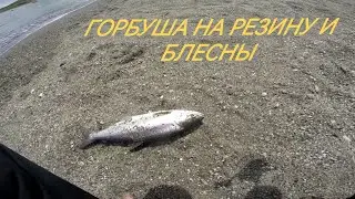 Ловля горбуши в море на резину и блесны!