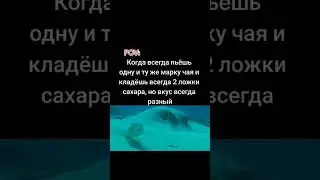 #memes #memz #мем