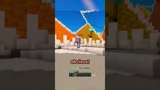 Hypixel Admin RAGING at Lag!