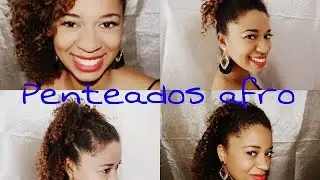 Penteados Afro- Consciência Negra