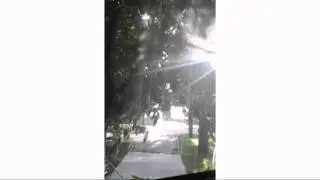 Артек-это...