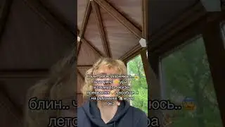 кудрявый мартин 