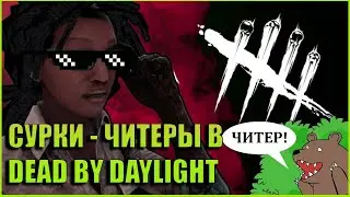 ЧИТЕРЫ В DEAD BY DAYLIGHT (ДБД) 2020 ►Лысый Поттер и Шоколадка ученица Авиценна ►