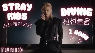 Stray Kids (스트레이키즈) - DIVINE (신선놀음) 🔥 1 HOUR EDIT 🔥 LONG LOOP VERSION 🔥