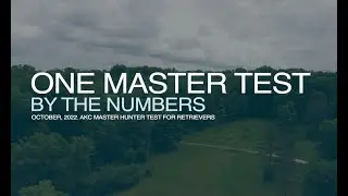 ONE AKC MASTER HUNT TEST - BY THE NUMBERS