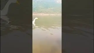 Ghora Katora natural lake Rajgir. Santi Stupa