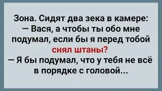 Два Зека на Зоне и Штаны! Подборка Веселых Анекдотов! Юмор!