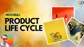 Understanding the Product Life Cycle | PLC
