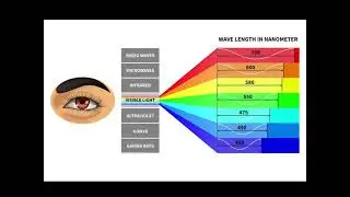 CLIPS Science Example
