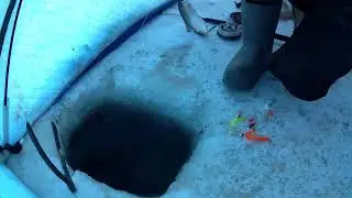 рыбалка на амуре 17.12.23
