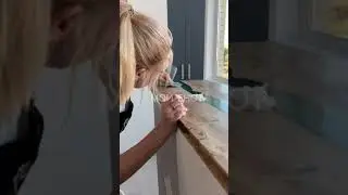 Клининговая компания/клининг/«МойЕнот»/Таганрог/с нами чисто 🐾