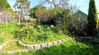 Crazy Garden Restoration | This Homeowner Really Needed Some Help