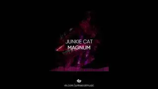 Junkie Cat — MAGNUM (PLVY BLVCK X RAYMEAN ROUND 3 БИТ)