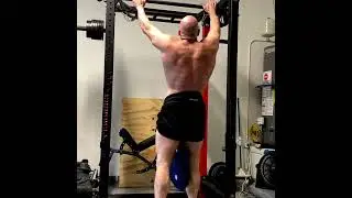 The Number One Exercise For A V-Taper - Weighted Pull Ups! 