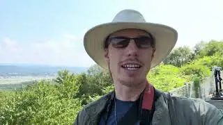 Short Hawk Watching Update