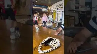 Жёны прикололись, и купили мужьям одинаковые футболки Оригинал
