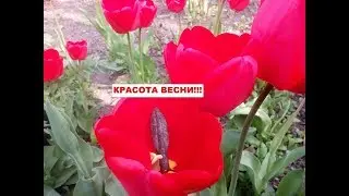 Перспективне поле знову радує знахідками!!! #КопUA
