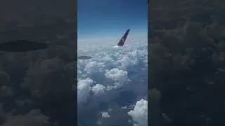 Полёт 